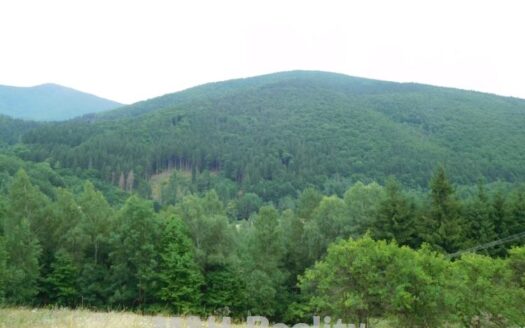 Pozemek Ostravice – Mazák