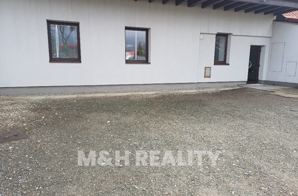 video image