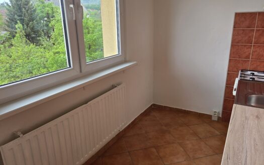 Pronájem velice pěkného bytu 2+1 ul.Nerudova Frýdlant nad Ostravicí