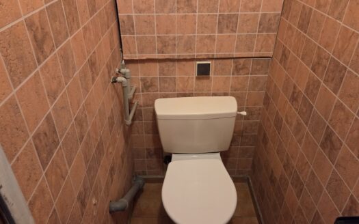 Pronájem velice pěkného bytu 2+1 ul.Nerudova Frýdlant nad Ostravicí