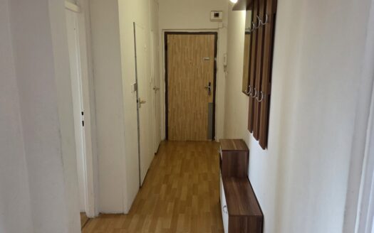 Prodej družstevního bytu 2+1 s balkónem, výtahem, komorou Ostrava-Hrabůvka ul.Aviatiků